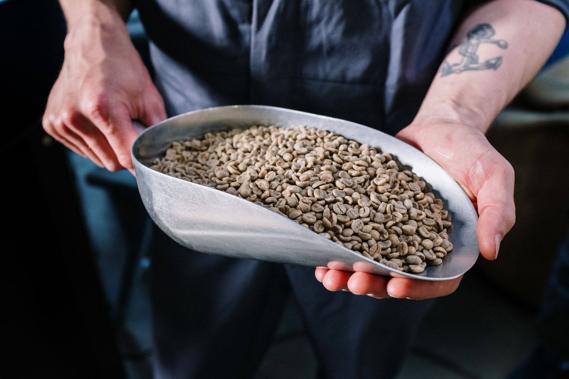 Roaster’s Reserve