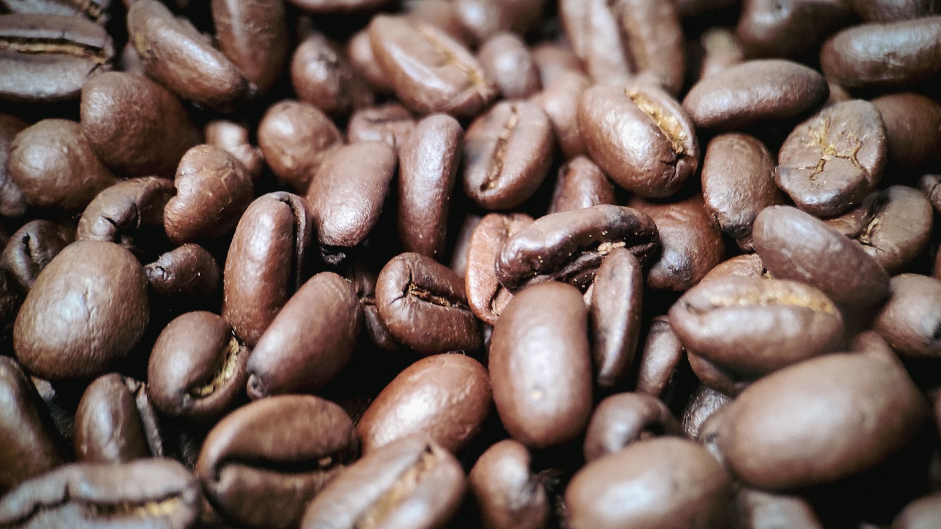 Sumatra Blue Batak